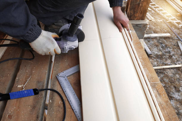 Best Siding Removal and Disposal  in Cannon Af, NM