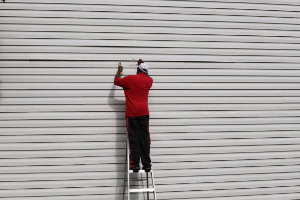 Best Vinyl Siding Installation  in Cannon Af, NM